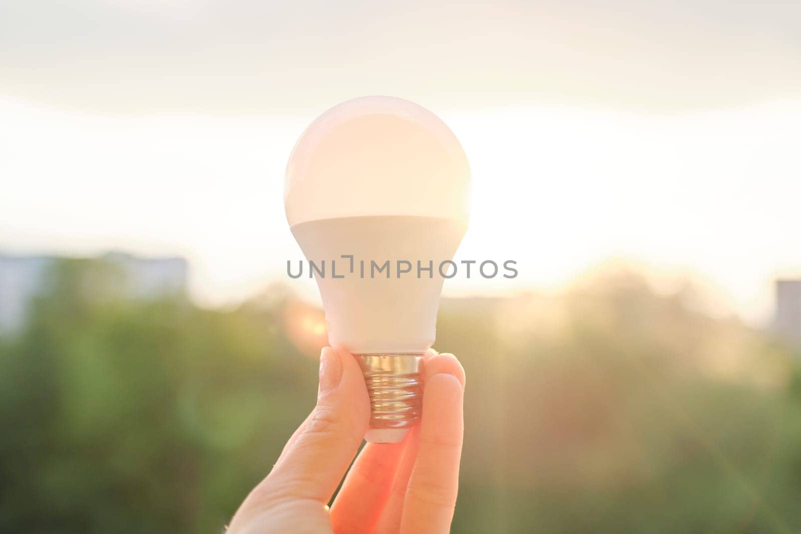 Led bulb, hand holding lamp, evening sunset sky background by VH-studio