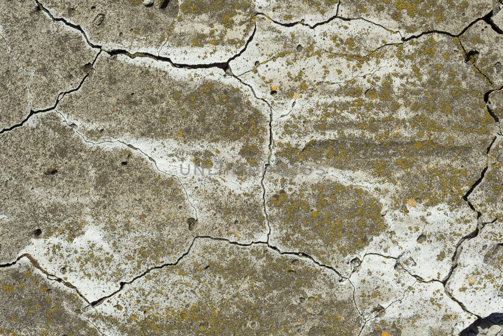 Cracked concrete cement texture closeup texture background.