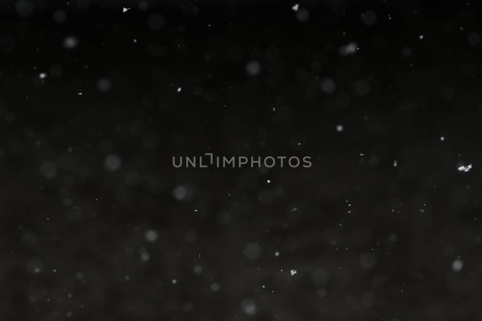 Falling snowflakes on night sky background, isolated for post production and overlay in graphic editor. Bokeh of white snow on a square shape gray background.