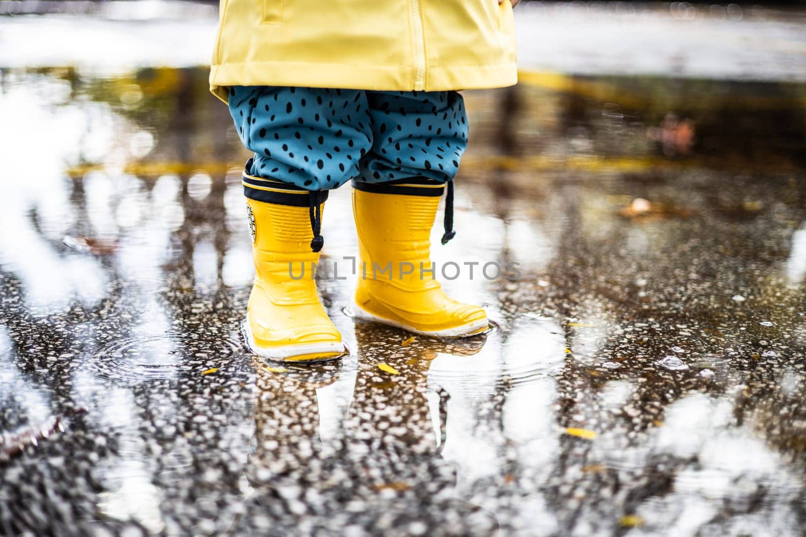 Small infant boy wearing yellow rubber boots and yellow waterproof raincoat standing in puddle on a overcast rainy day. Child in the rain