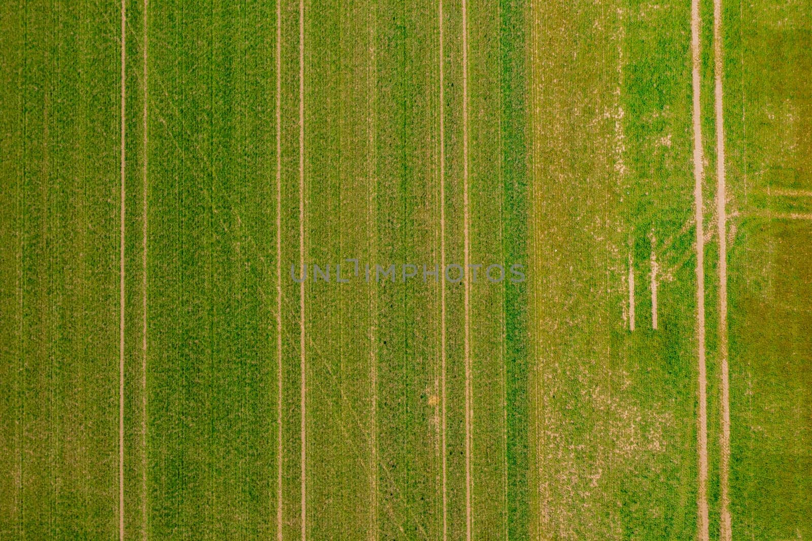 Aerial view of a field with a pattern of lines of tractor tracks by astrosoft