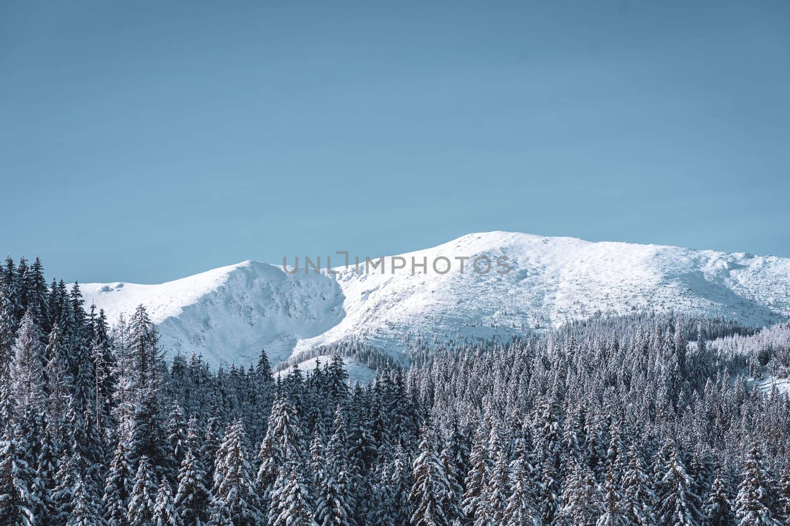 Mountains covered with pine and fir forest, cold beauty in nature of Low Tatras, Slovakia