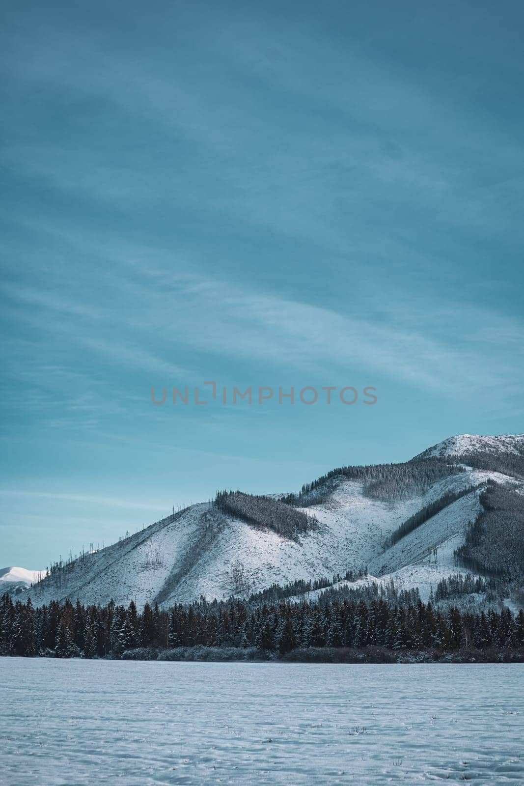 Winter mountain landscape under blue sky in Low Tatras, Slovakia by Popov