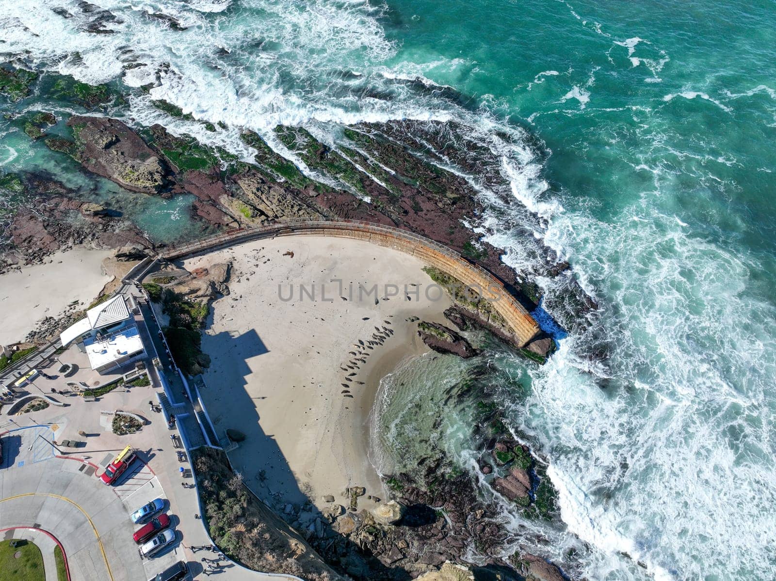 Aerial view of the La Jolla coastline, California, USA by Bonandbon