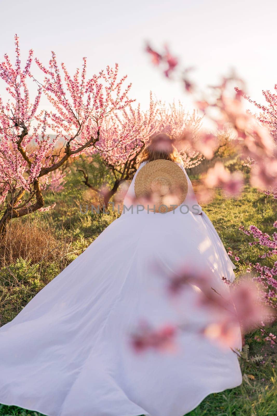 Woman blooming peach orchard. Against the backdrop of a picturesque peach orchard, a woman in a long white dress and hat enjoys a peaceful walk in the park, surrounded by the beauty of nature