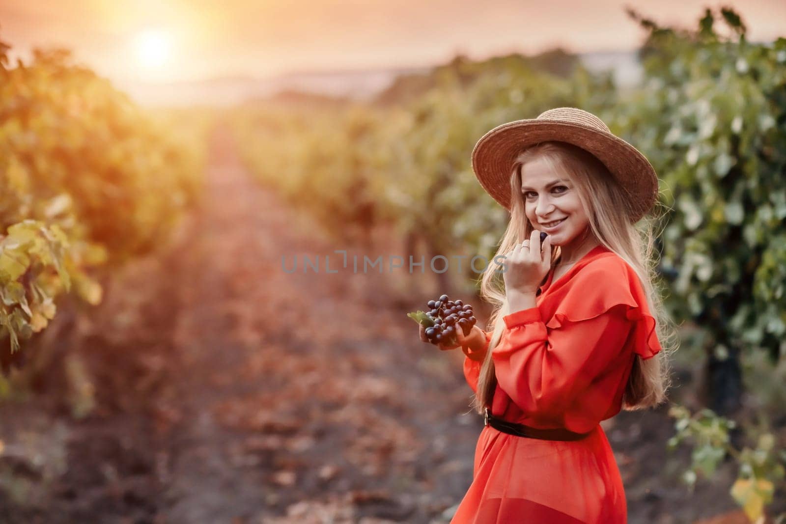 portrait of a happy woman in the summer vineyards at sunset. woman in a hat and smiling