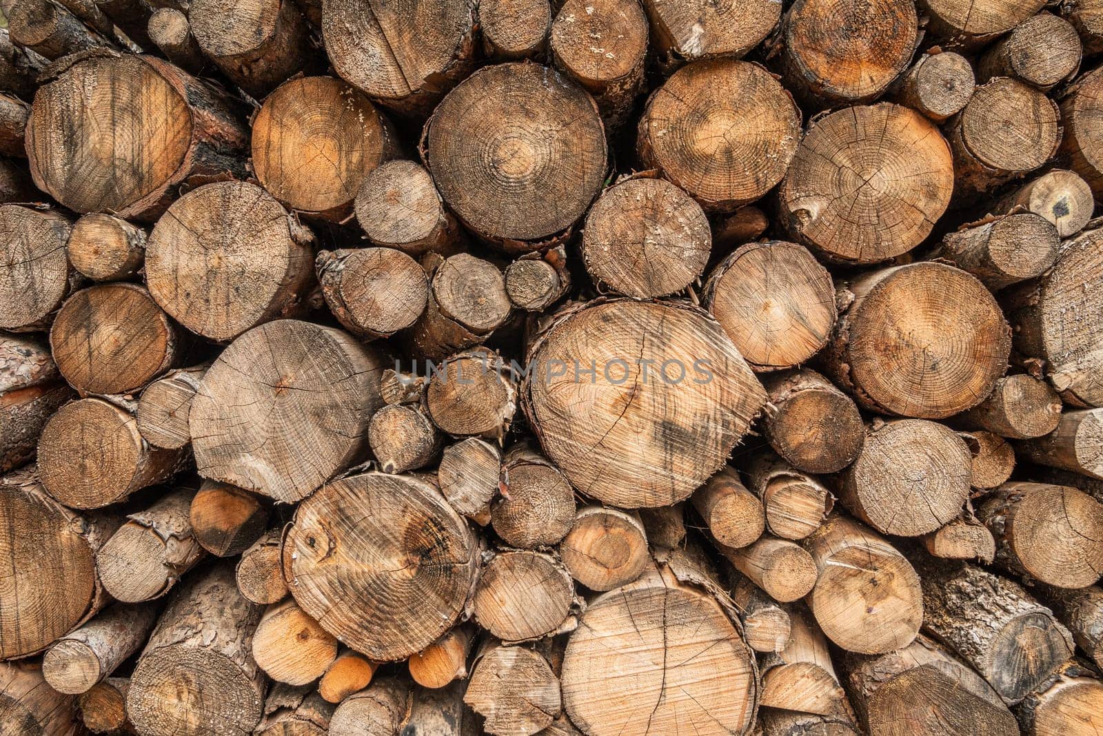 Wall made with a pile of chopped logs of different sizes. log pile background by Sonat