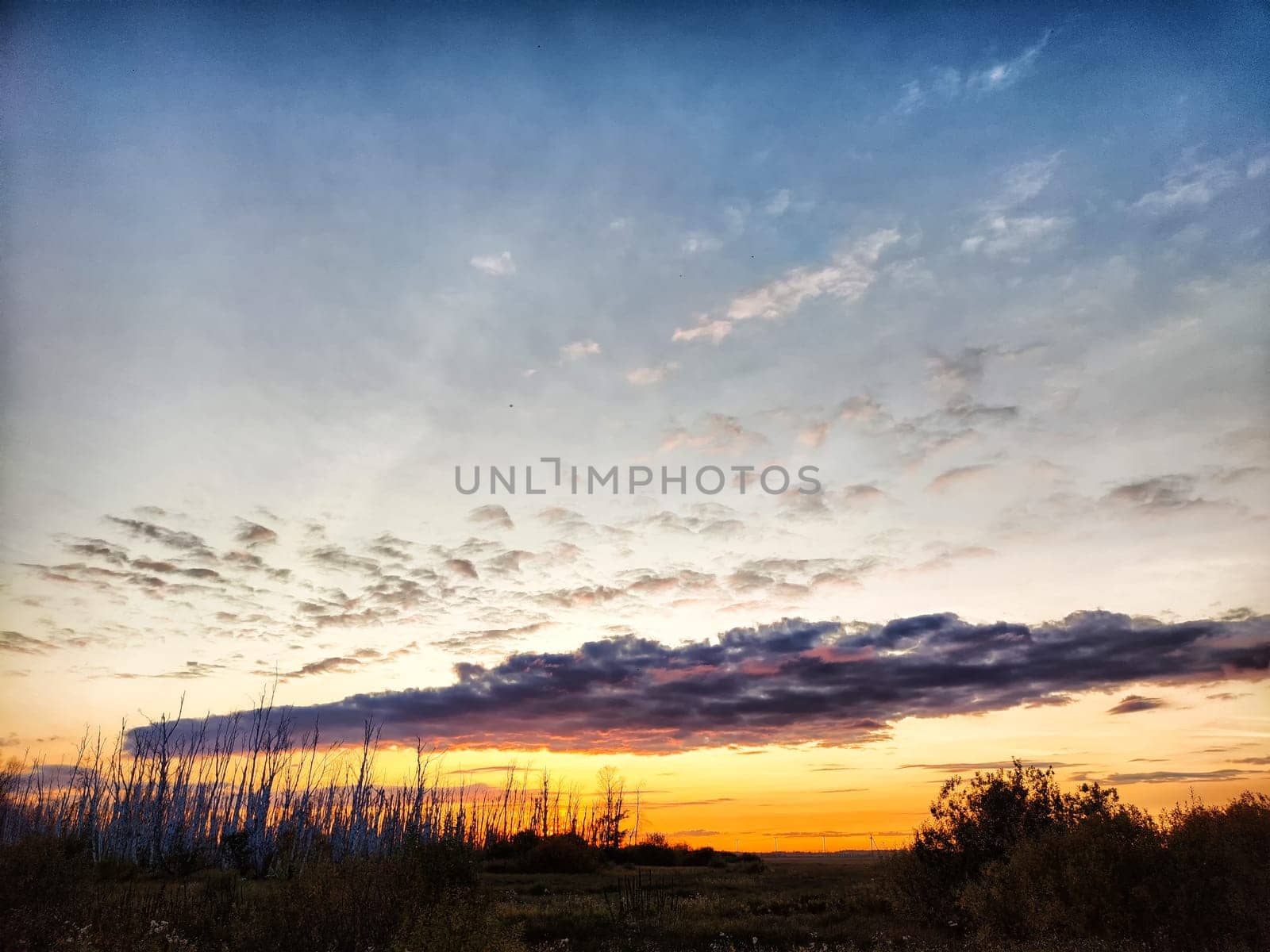 Sunset with the sun and a dramatic cloud over the steppe with green grass. Beautiful nature landscape