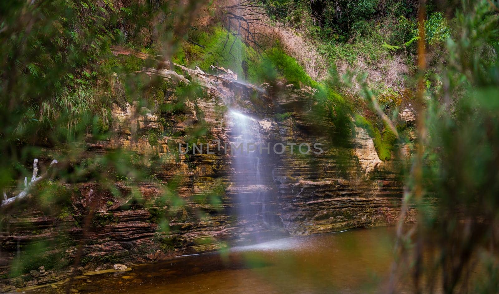 Serene Waterfall Oasis Hidden in Lush Greenery by FerradalFCG