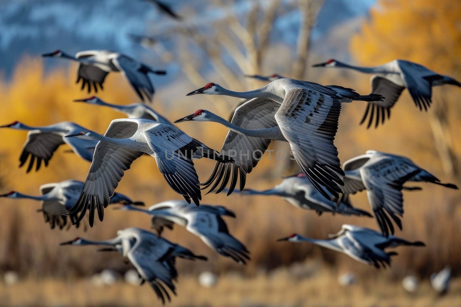 A flock of Sandhill Cranes during their fall migration. AI generative.