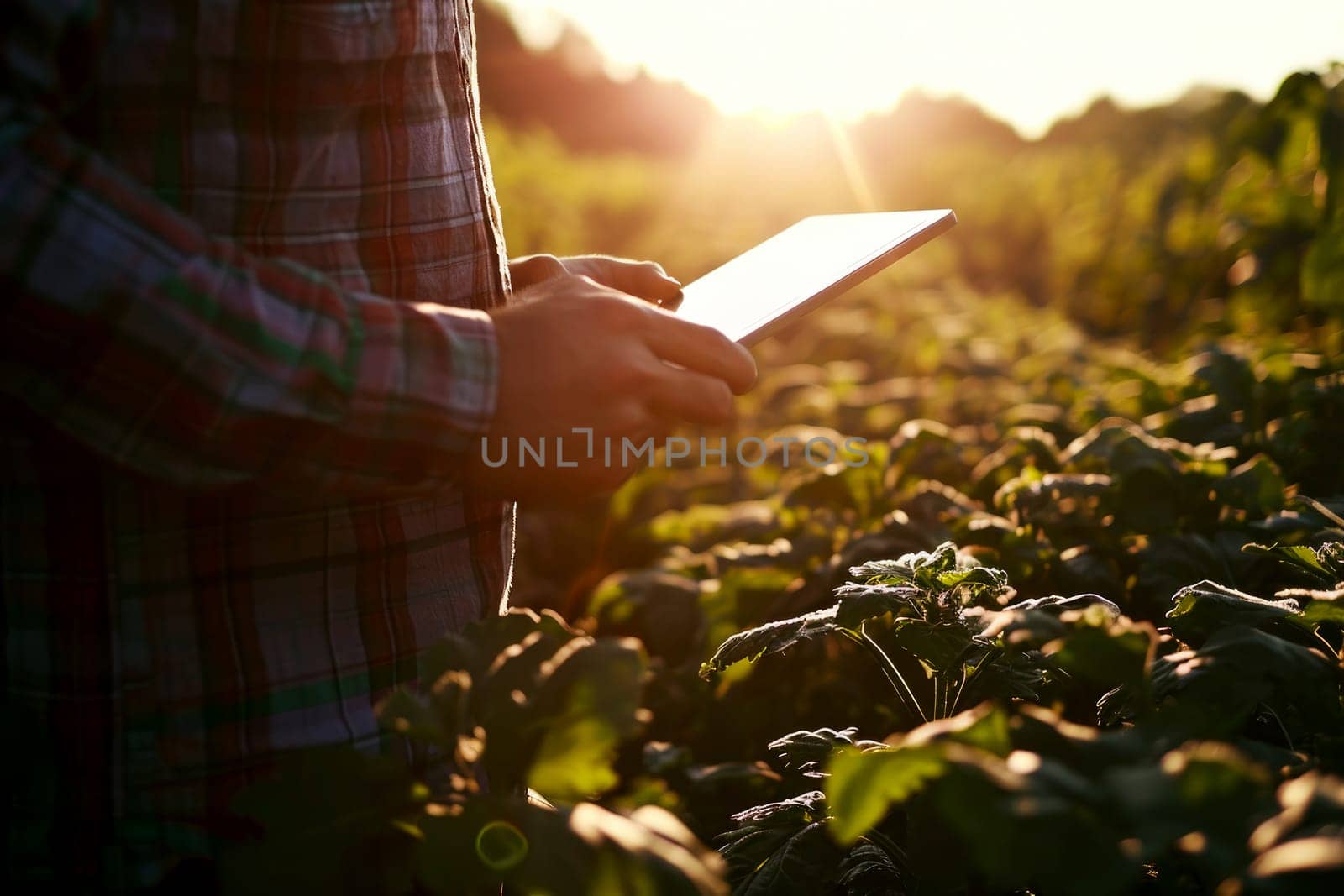 a farmer standing in field with table. Generative AI..