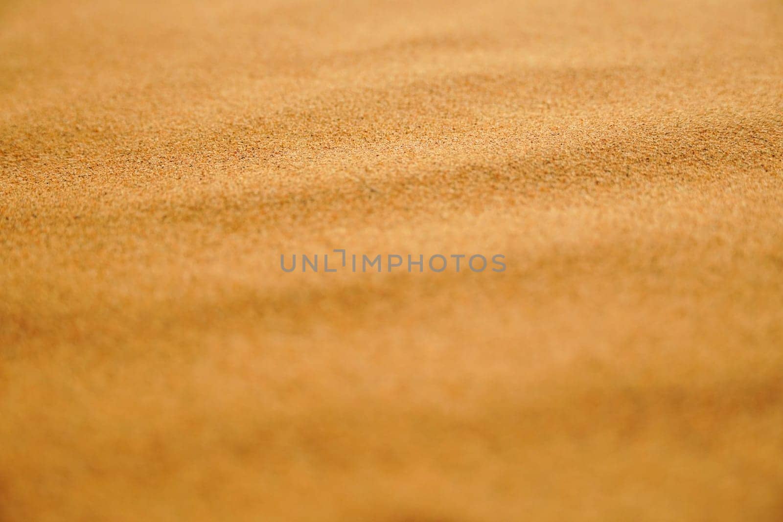 Sand grains arranged wavy in the desert, close-up, texture as background