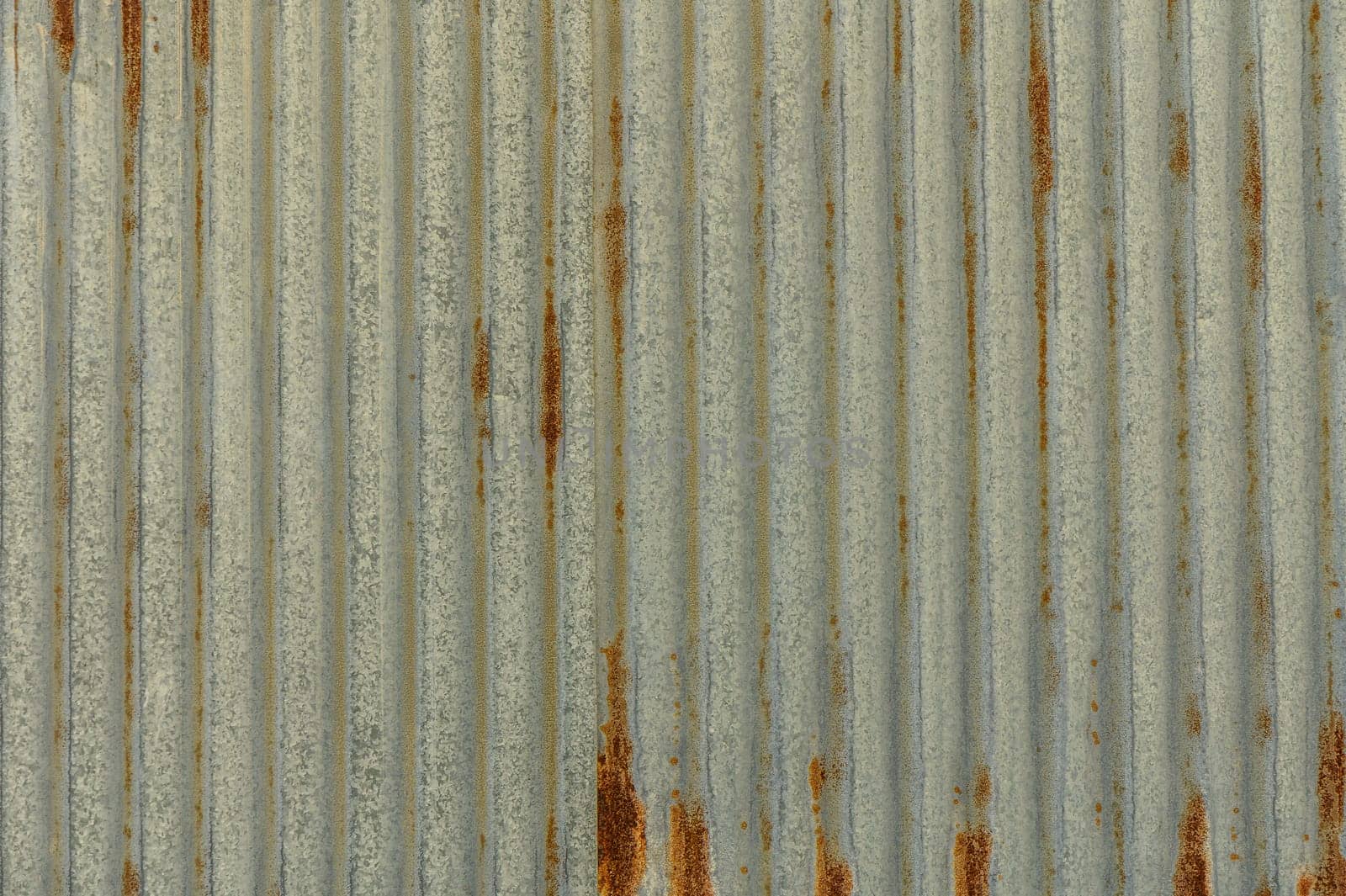 rusty sheet of profile metal as a background 1