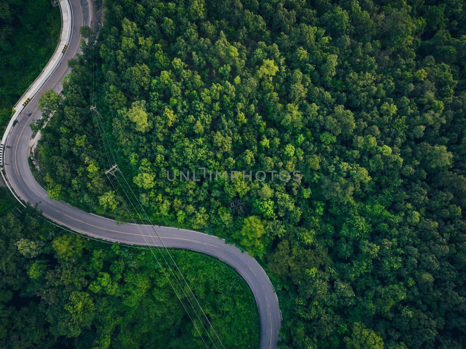 Aerial view of dense green trees in forest capture CO2 and curve highway road. Green trees background for carbon neutrality and net zero emissions concept. Sustainable green environment. Carbon credit