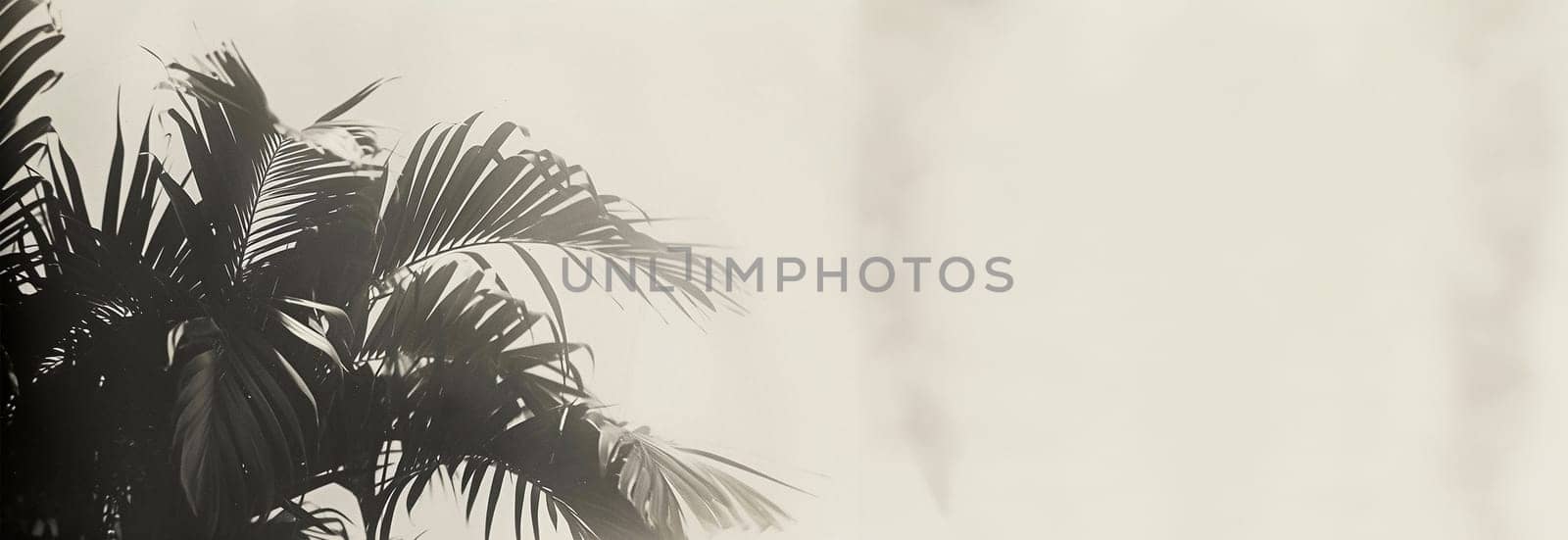 Tropical leaves monochrome effect. Background with dark tropical leaves, fresh flat background. Flat lay. Jungle nature concept artistic copy space