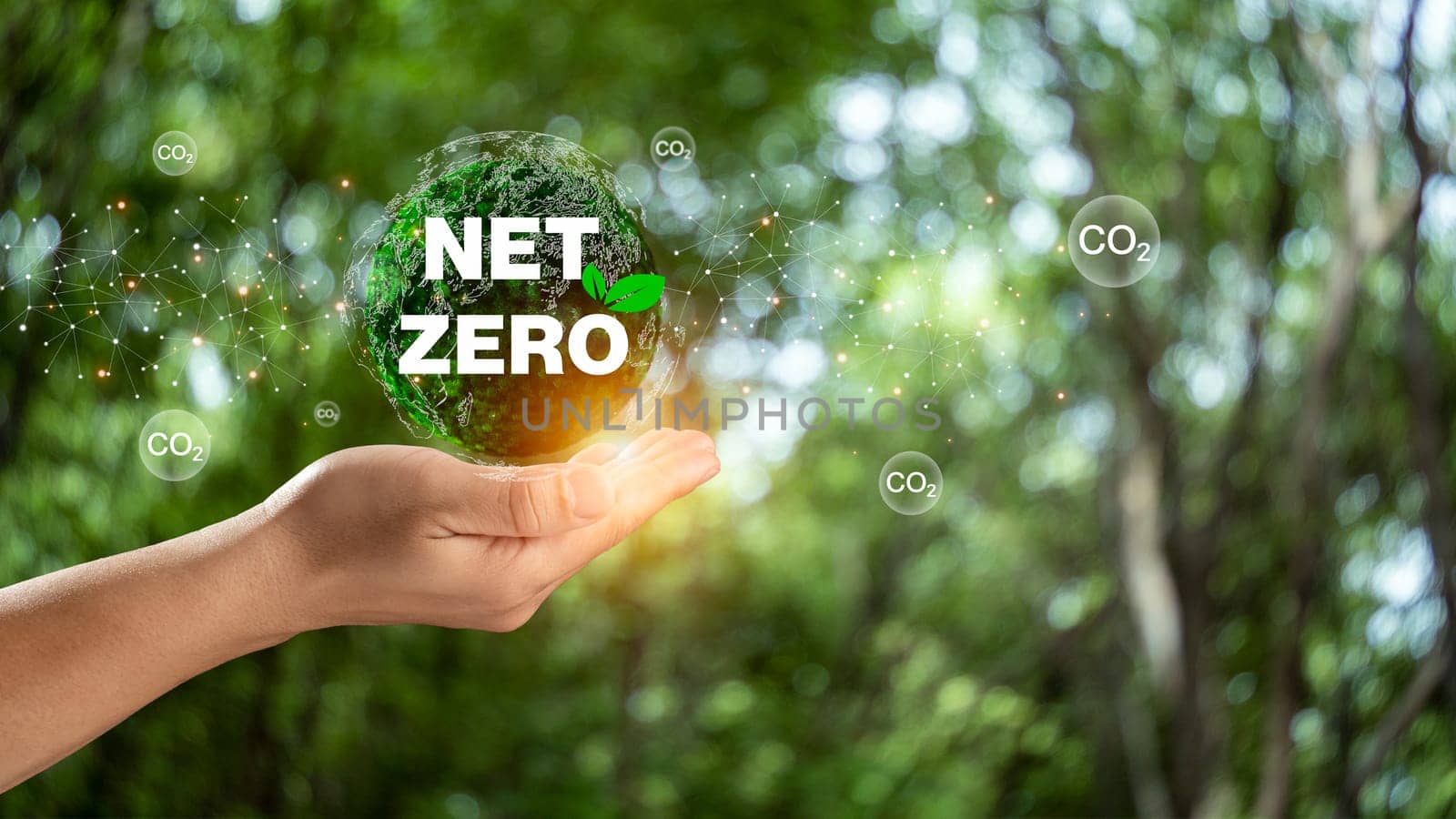 Hand of human holding earth with Net Zero icon, carbon neutral and net zero concept for net zero greenhouse gas emissions target, Climate neutral long term strategy, natural background. by Unimages2527