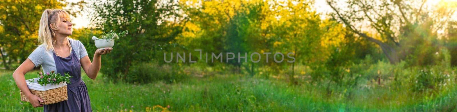 A woman in the garden collects medicinal herbs for tinctures and alternative medicine. Selective focus. Nature.