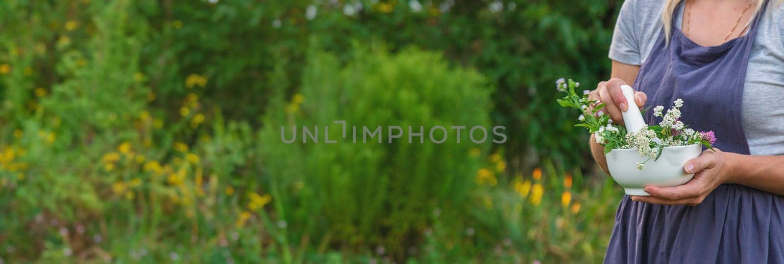 A woman in the garden collects medicinal herbs for tinctures and alternative medicine. Selective focus. Nature.