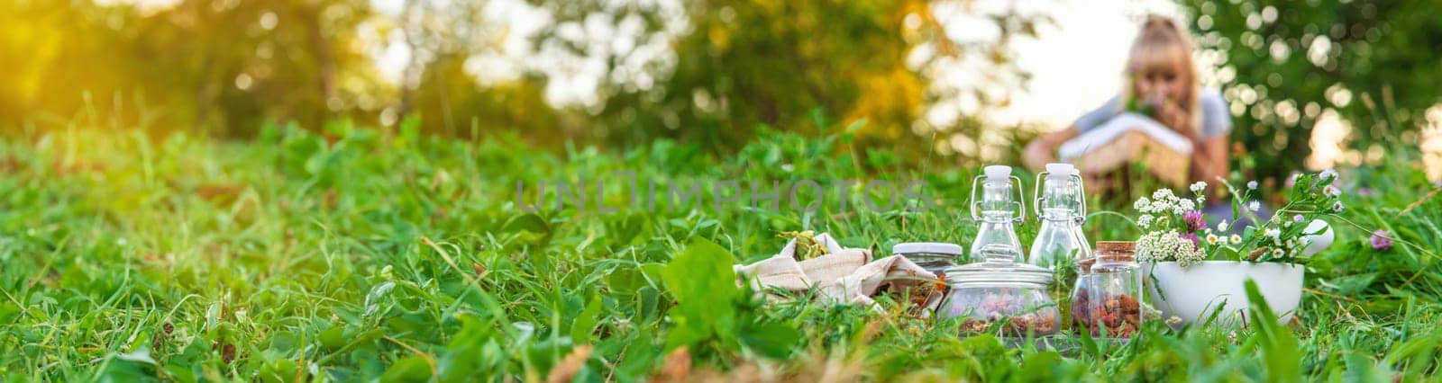 A woman in the garden collects medicinal herbs for tinctures and alternative medicine. Selective focus. Nature.