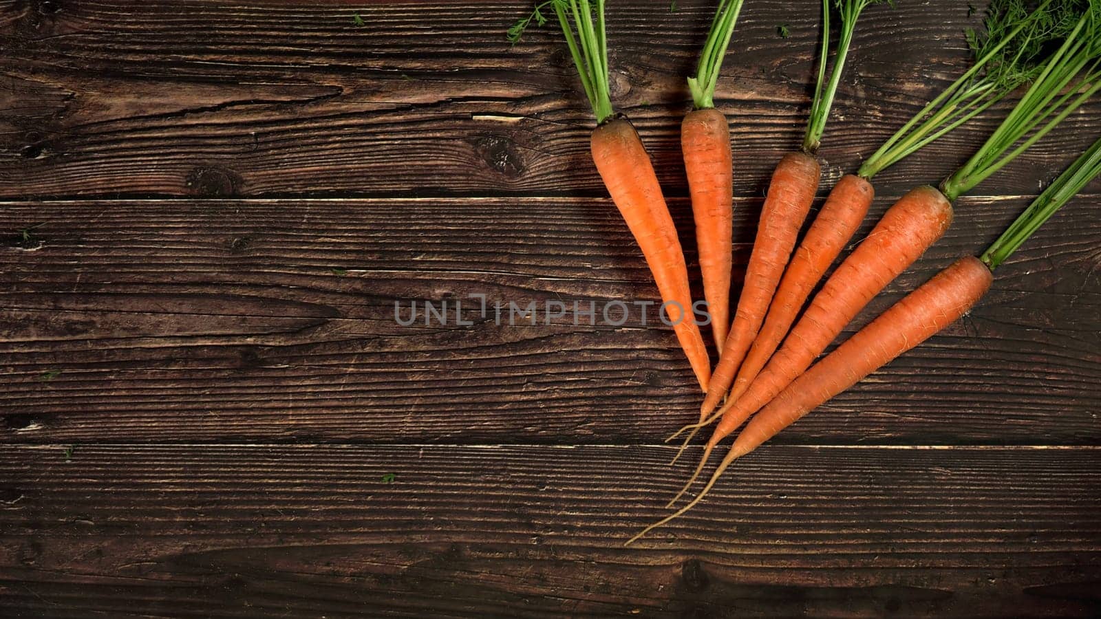 Fresh orange carrot roots with green leaves on dark wooden board, overhead photo space for text left side