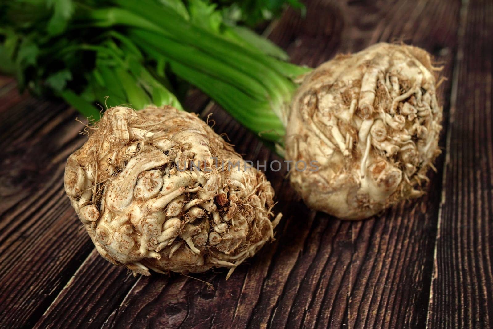 Celeriac / turnip-rooted celery roots with green leaves on dark wooden board, closeup detail by Ivanko