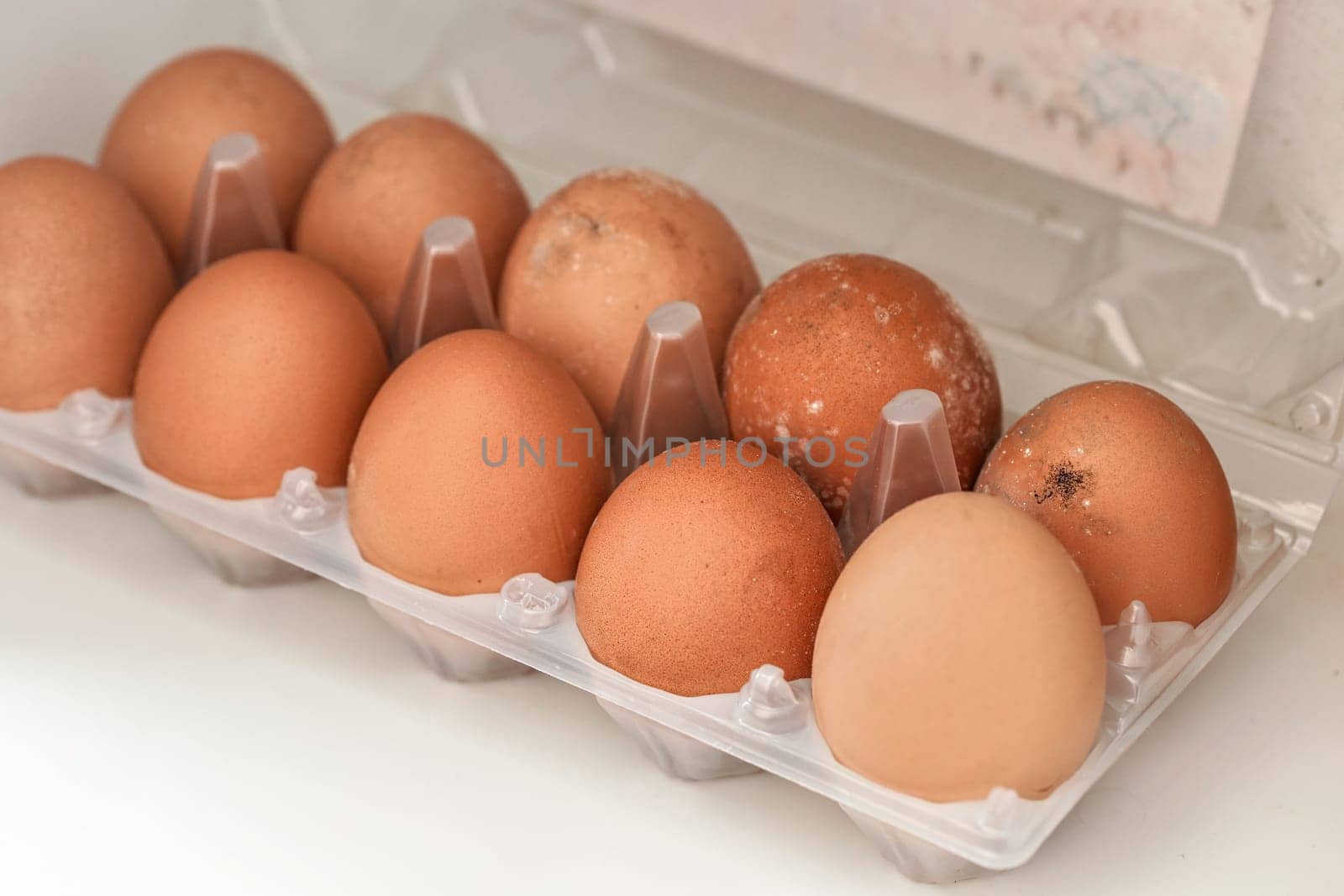 White mould on eggs that have been stored in wet fridge for long time by Ivanko