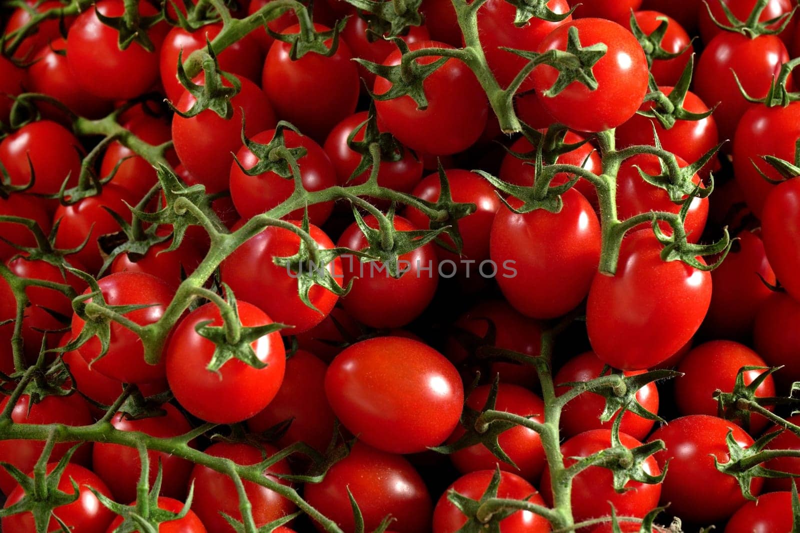 Pile of fresh shiny red ripe tomatoes with green vines by Ivanko