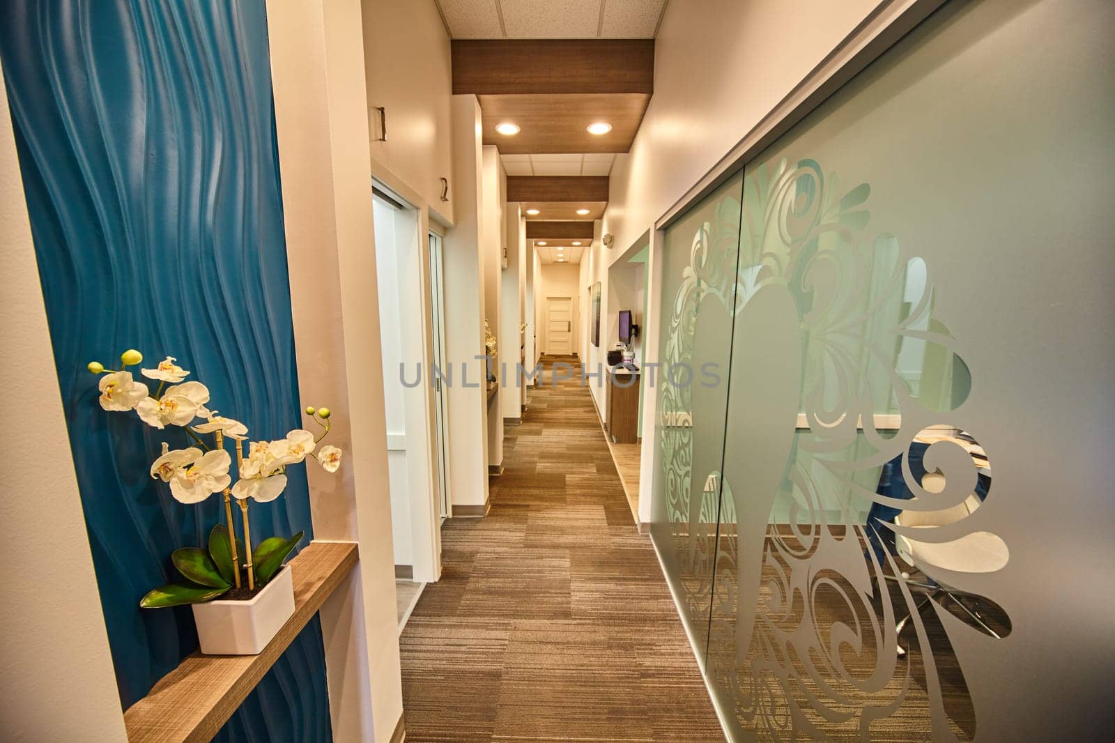 Sleek modern interior of a corporate office in Fort Wayne, Indiana, featuring a vibrant blue curtain, a delicate white orchid and an intricate glass partition, creating an atmosphere of professionalism and refinement, 2016.