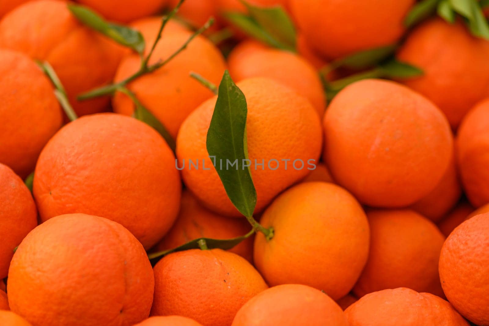 juicy fresh tangerines in boxes for sale in Cyprus in winter 5 by Mixa74