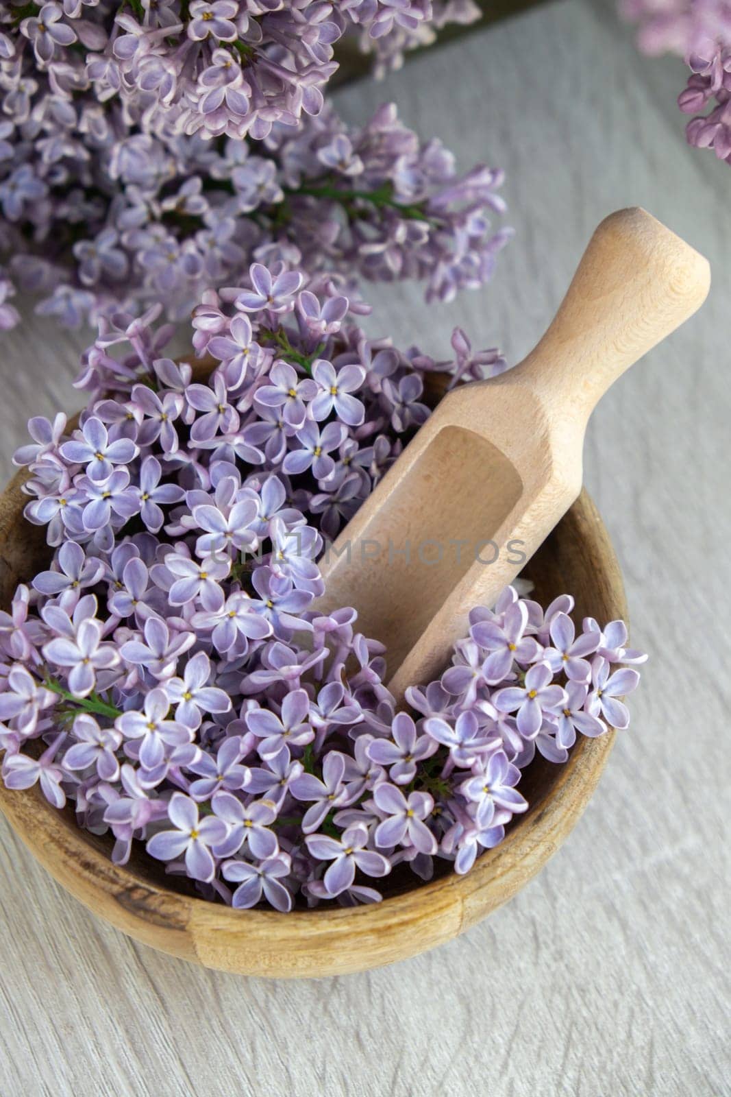 Wooden Bowl with wooden spoon of fresh purple lilac petals with branch of blooming lilac. Lilac flowers fragrance. Concept for spa wellness and aromatherapy. Copy space Still life composition springtime. Wallpaper for greeting card, postcard