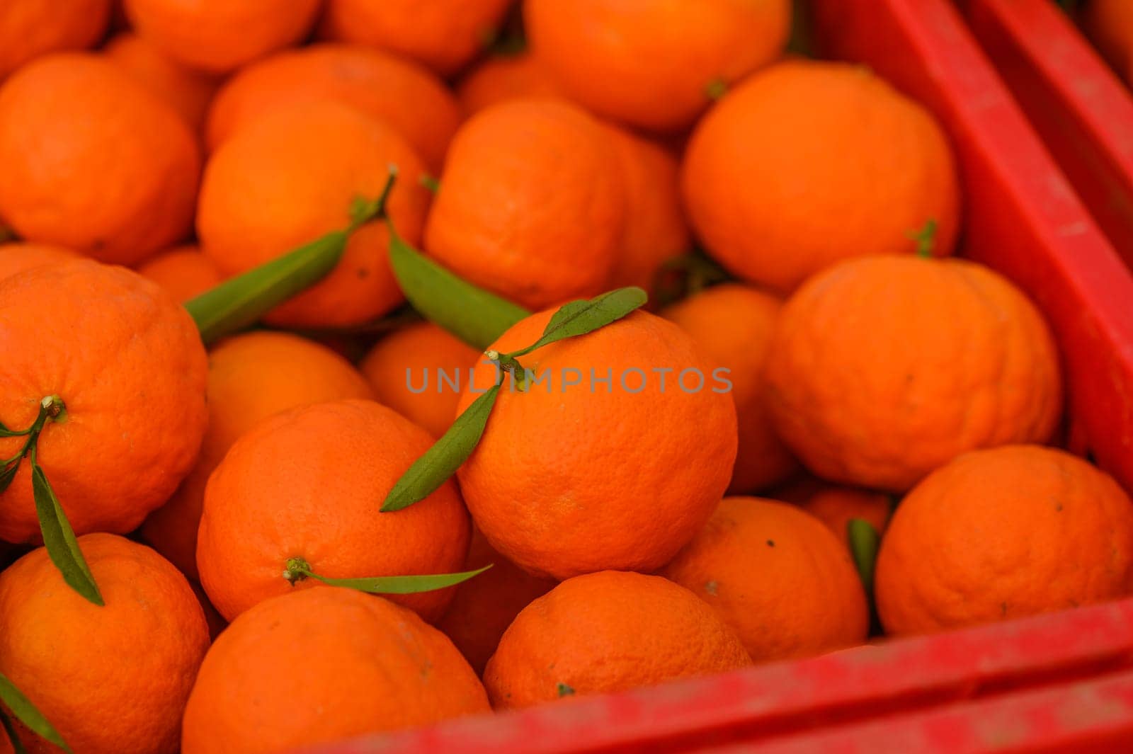 juicy fresh tangerines in boxes for sale in Cyprus in winter 21