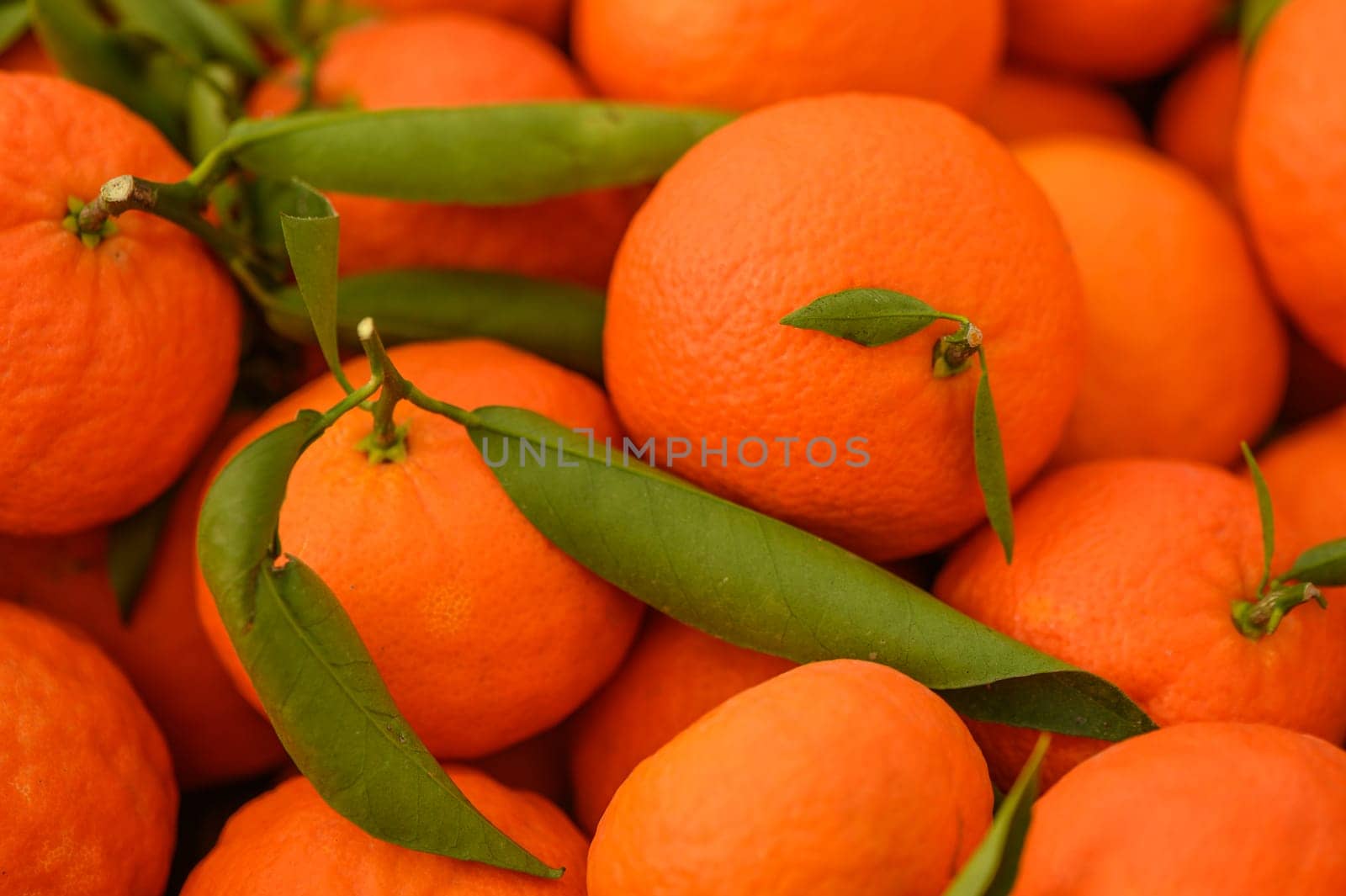 juicy fresh tangerines in boxes for sale in Cyprus in winter 23