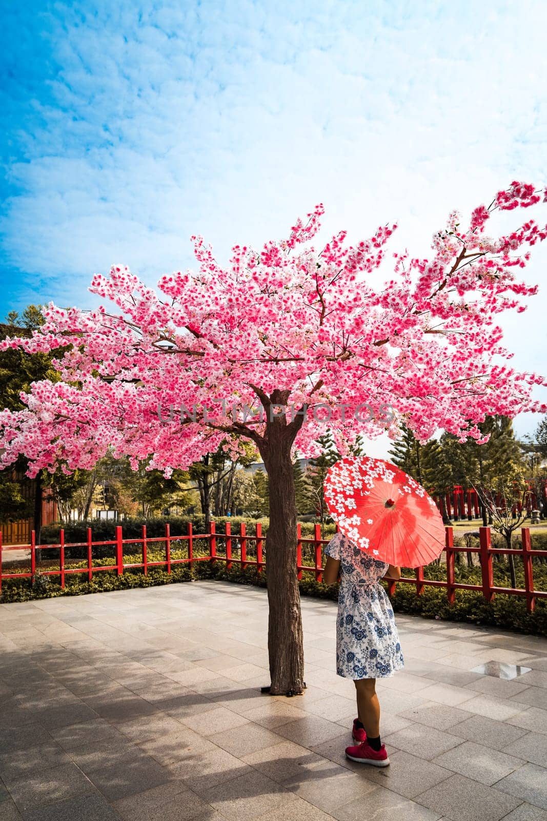 Asian girl in kimono and umbrella in Japanese theme park Hinoki Land in Chai Prakan District, Chiang Mai