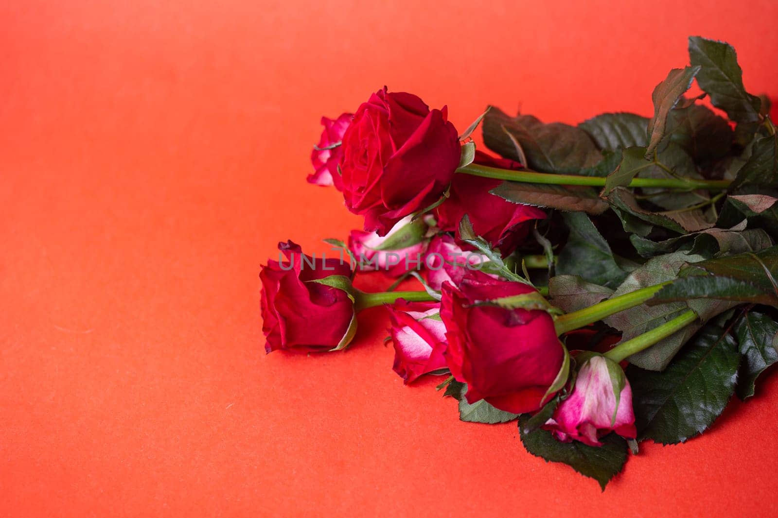 Red Roses Bouquet on Red Background. Valentines Day, Love, Romance. Copy Space. Top View. by Pukhovskiy