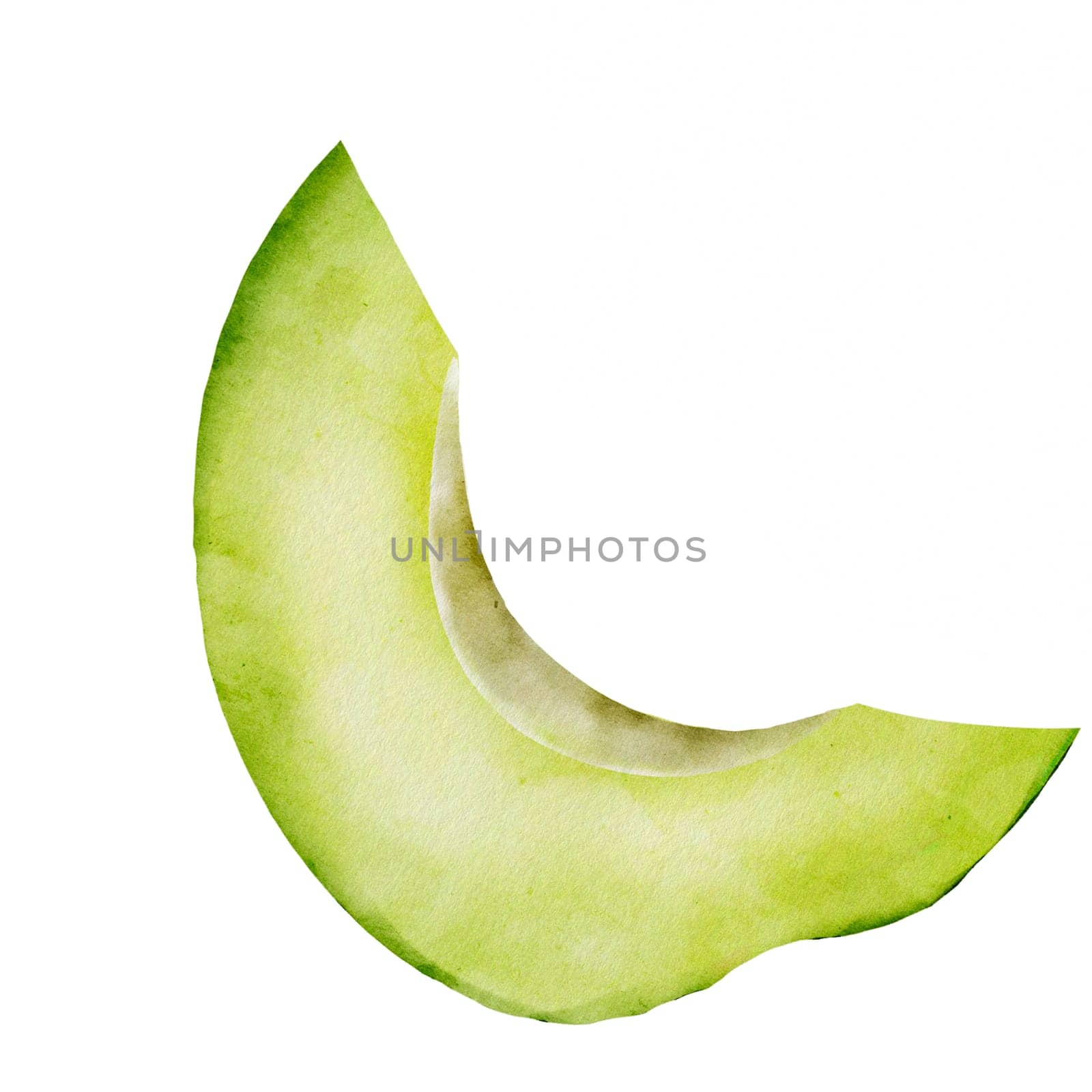 Avocado slice watercolor realistic drawing of ripe fruit on isolated white background. Part of exotic green vegetable for menu design of health food cafe. Vegetarian chip. High quality illustration