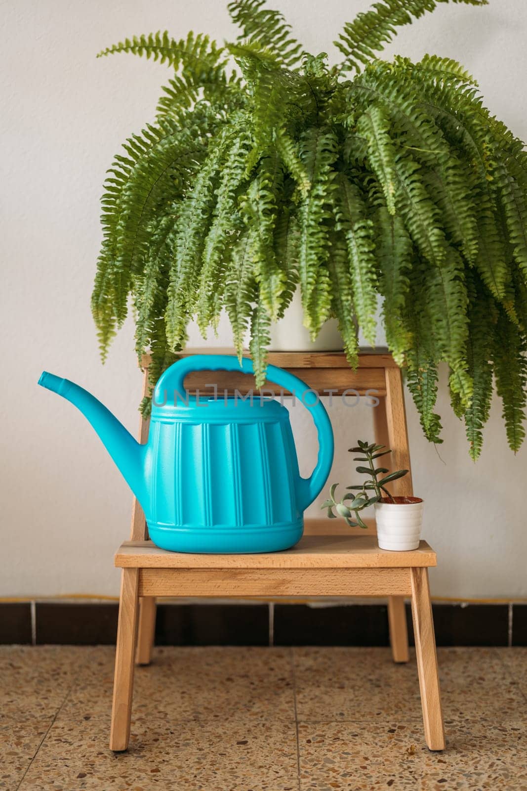 Vibrant blue watering can on a wooden stool with plants by apavlin