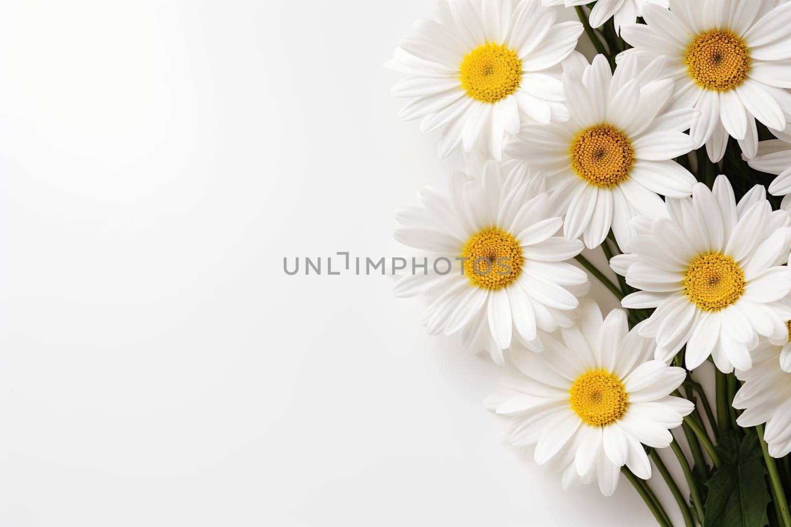 Horizontal white background with a bouquet of white daisies on the right and space for text.