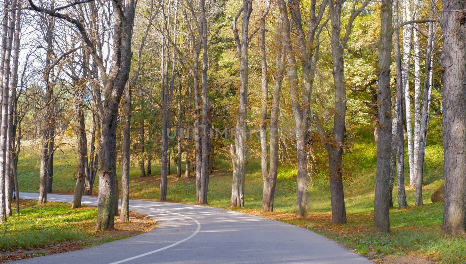 Road lane in autumn park by Ekaterina34
