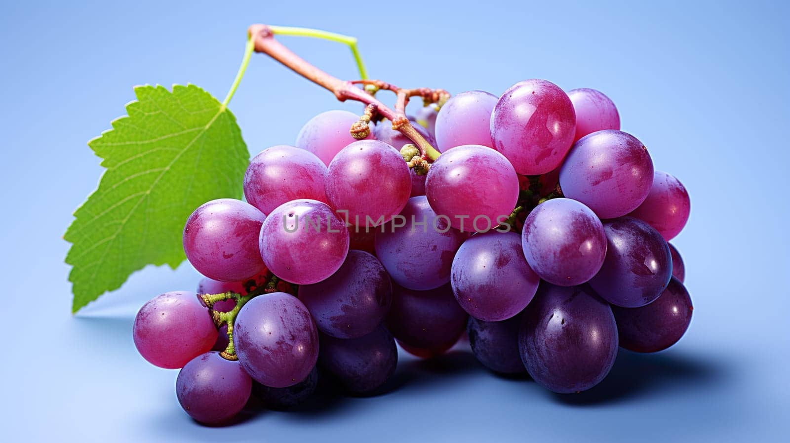 A bunch of large red grapes with leaves on a blue background. Generated by artificial intelligence by Vovmar