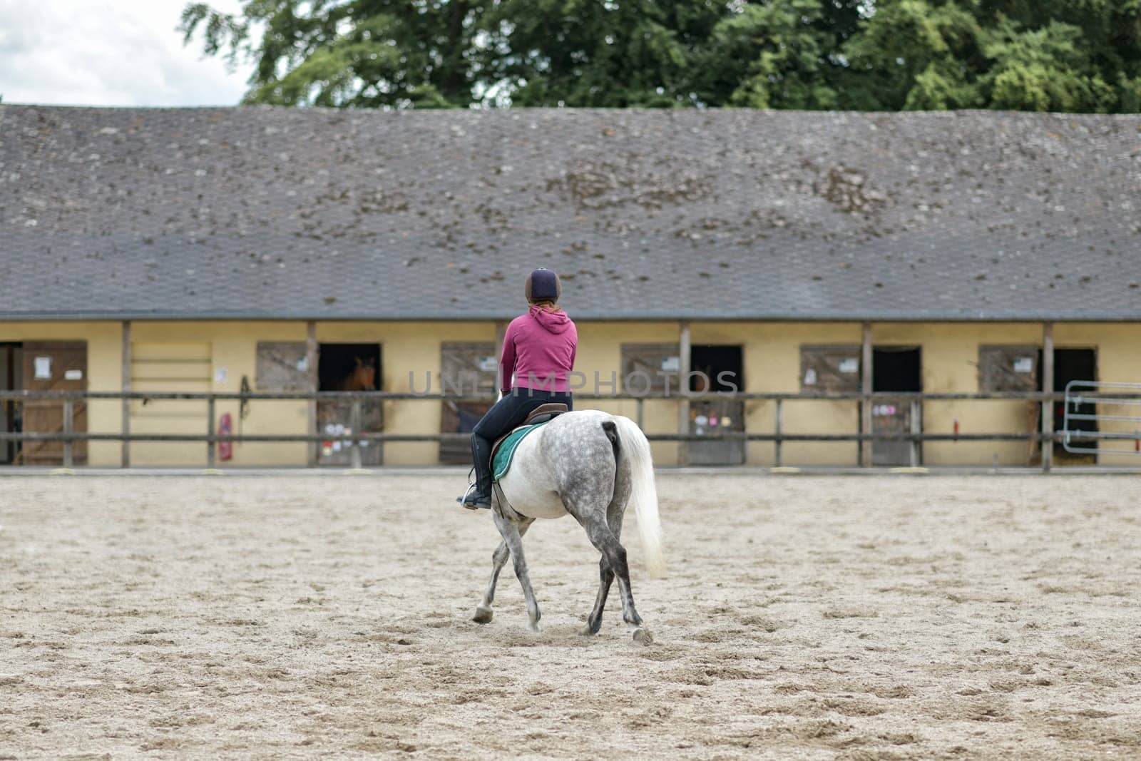 Horsewoman training on the white hors at the court by Godi