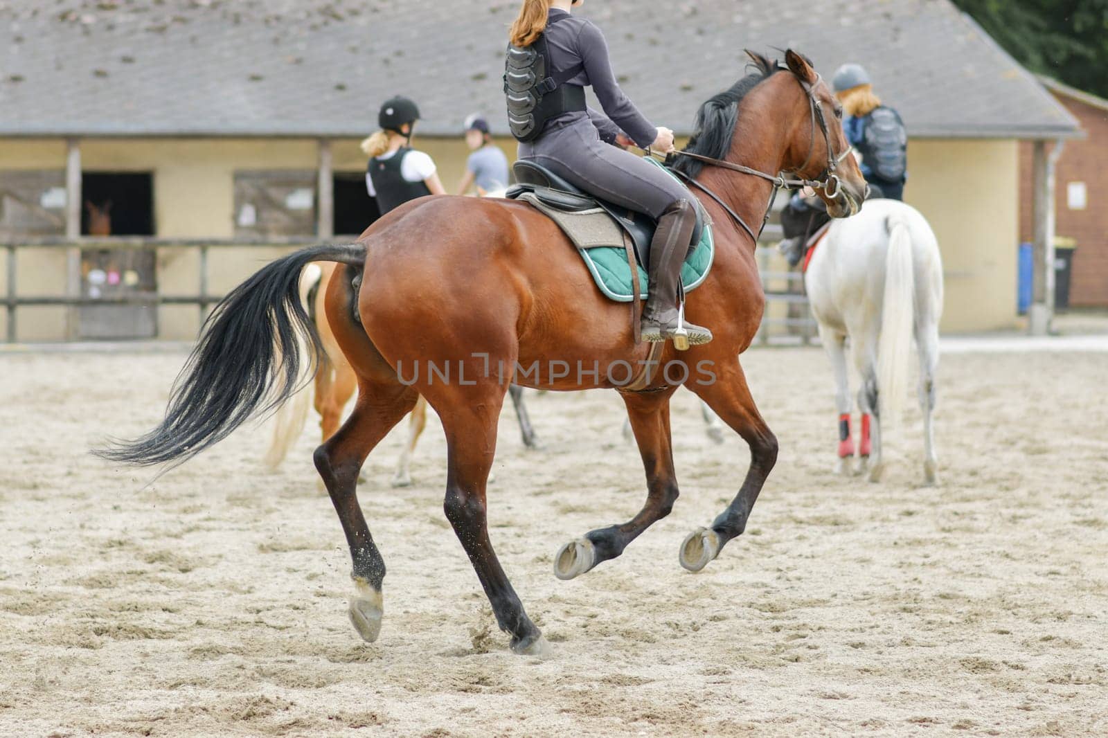Horsewoman training on the brown hors at the court by Godi