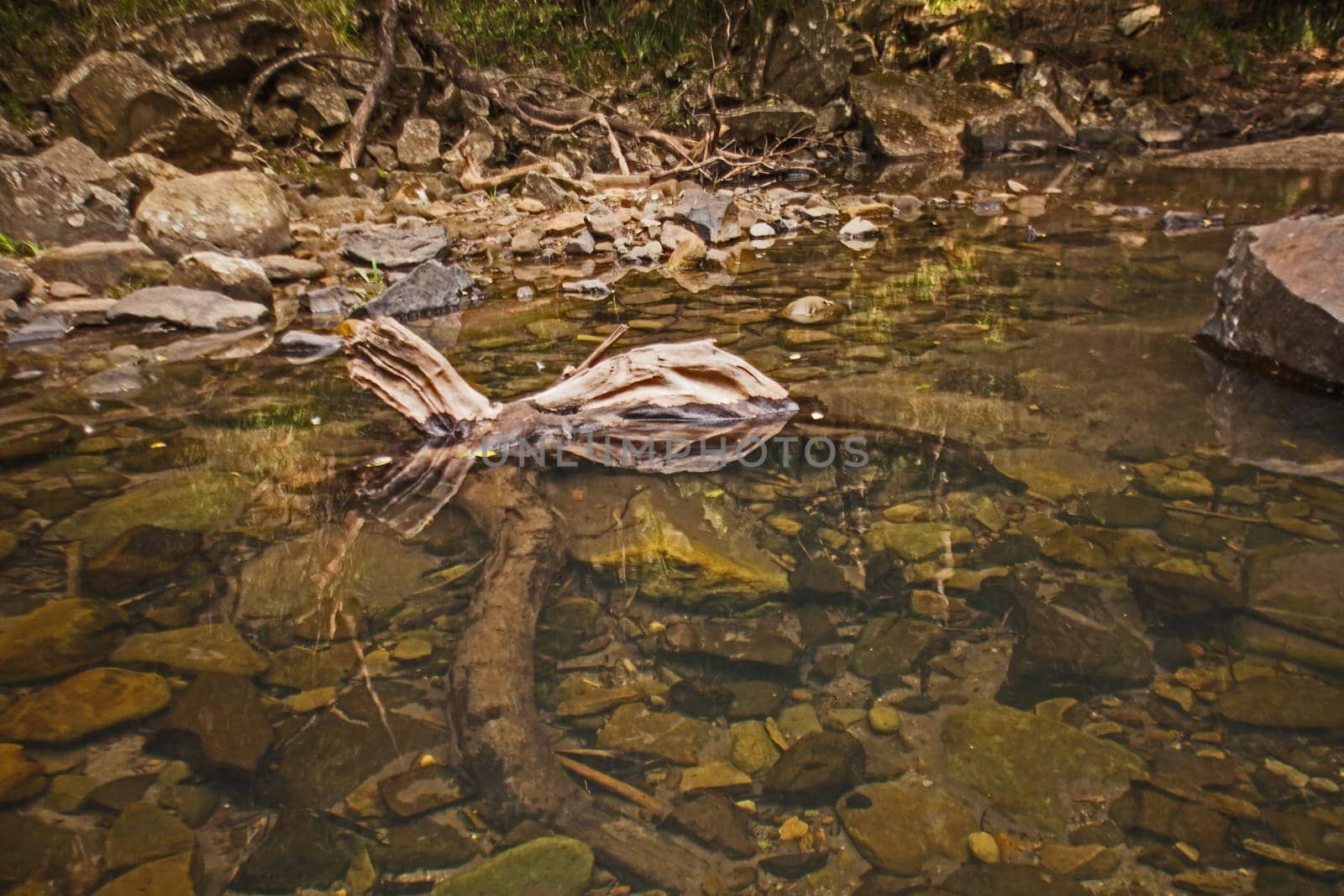 The clear water of the Gezana River, downstream of the Sunday Fals in the Royal Natal National Park, Drakensberg South Africa