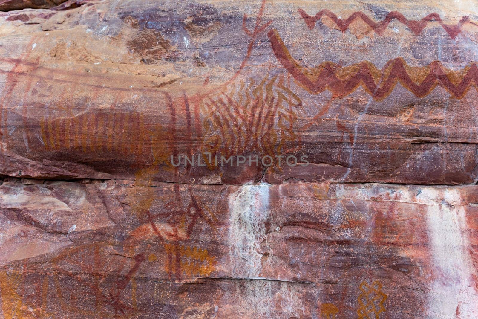 Ancient Rock Art Depicting Animals and Symbols by FerradalFCG