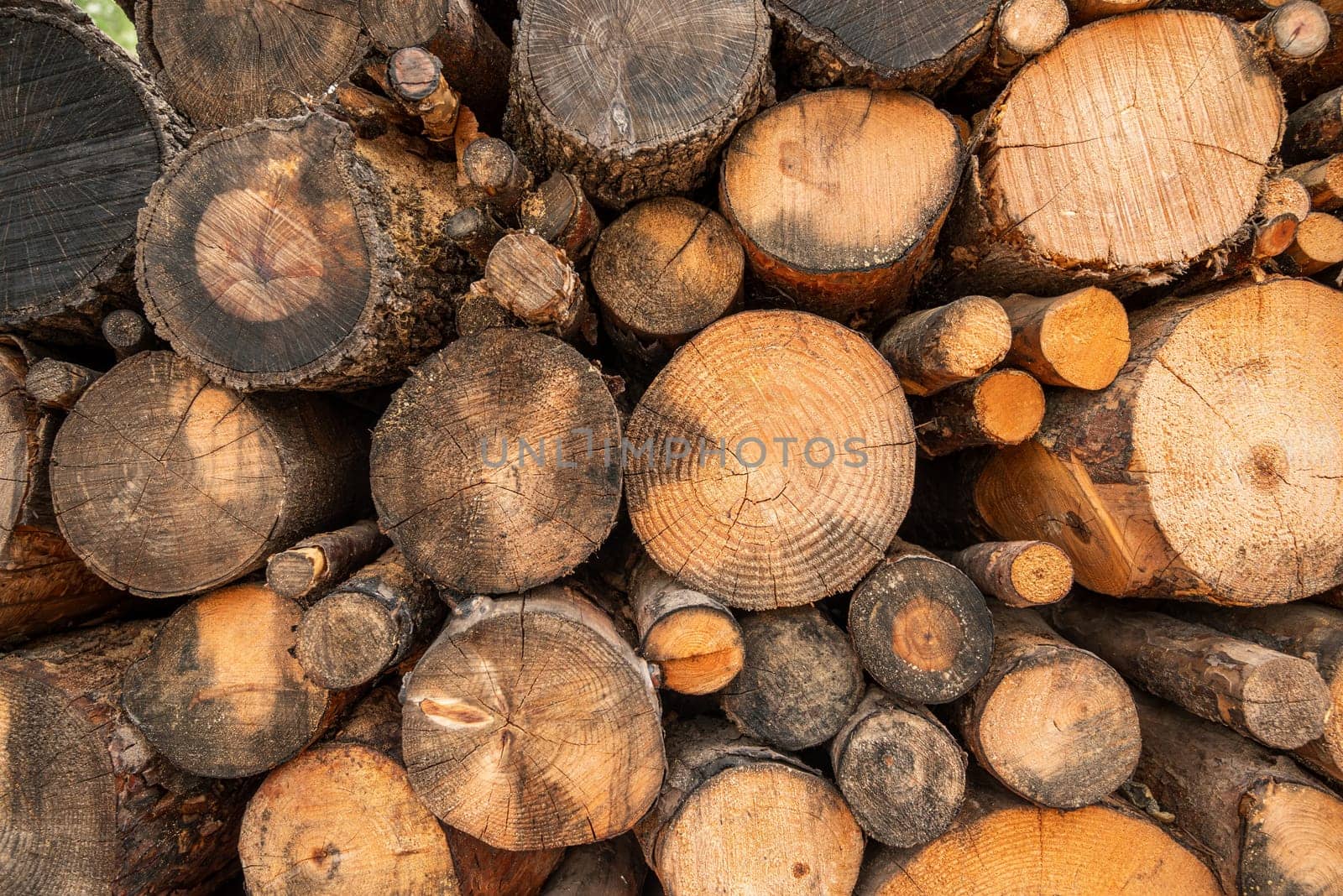 Wall made with a pile of chopped logs of different sizes. log pile background by Sonat