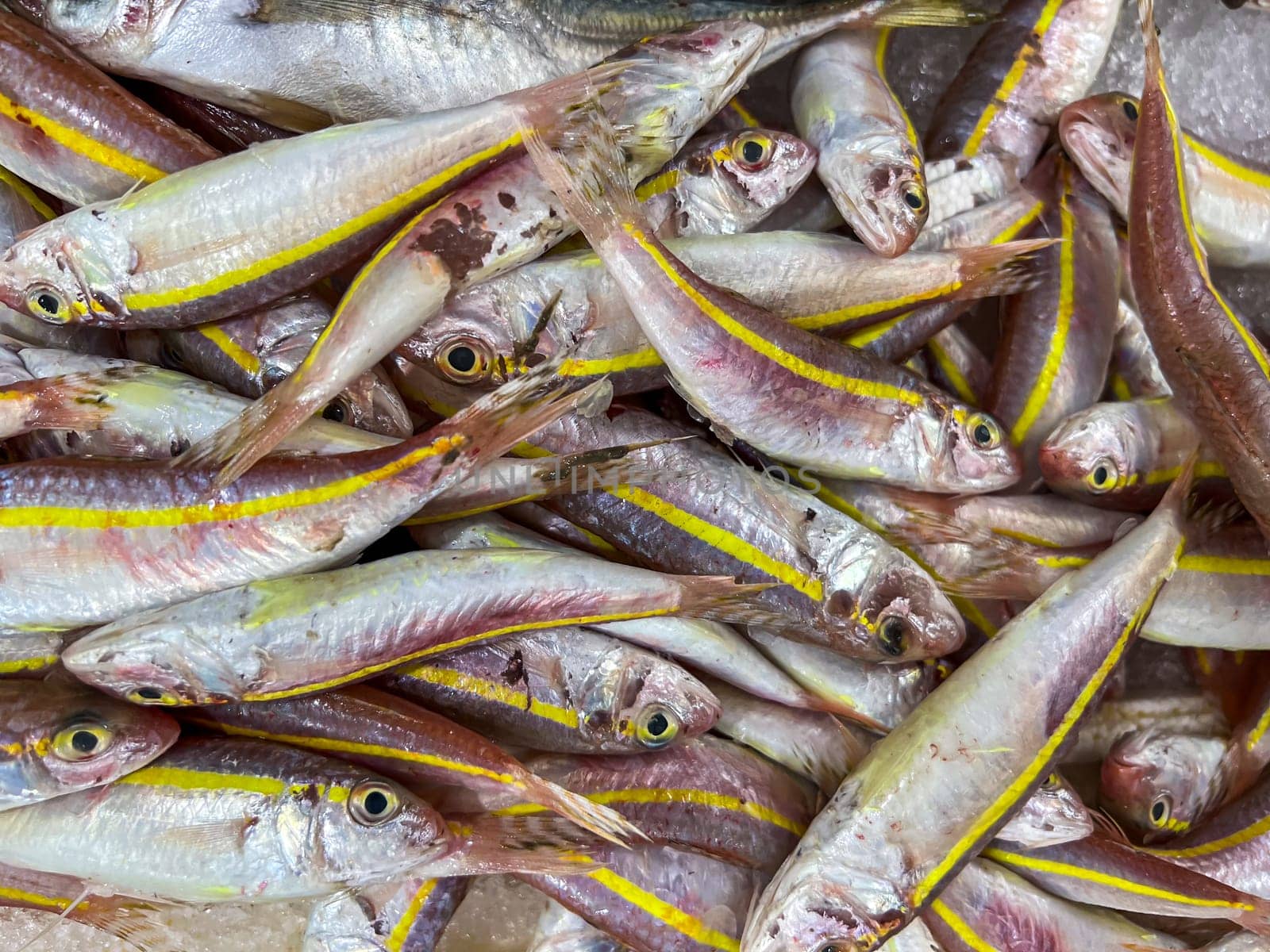 Close-up of fresh raw fish in ice on the counter at a fish market