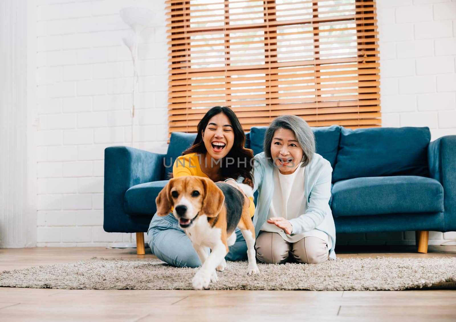 Active and healthy living, A woman and her mother enjoy a friendly run with their Beagle dog in the comfort of their home's living room. Their bond is evident in their joy. pet love by Sorapop