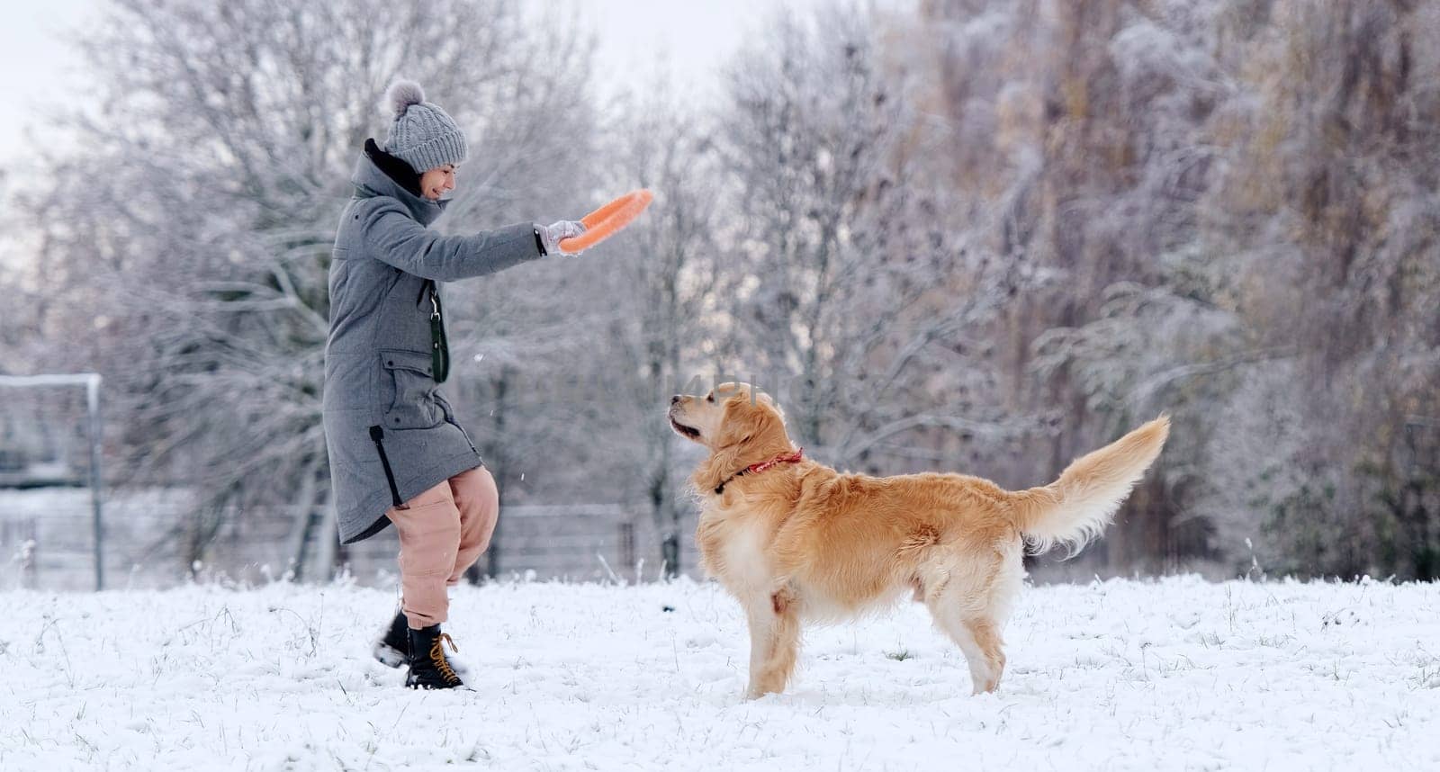 Girl Throwing Ring Toy To Adorable Golden Retriever Dog On A Snow Field by GekaSkr
