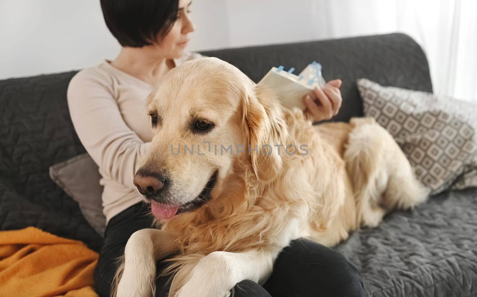Pretty girl with golden retriever dog reading book sitting on sofa at home. Young woman and purebred pet doggy labrador resting at home.