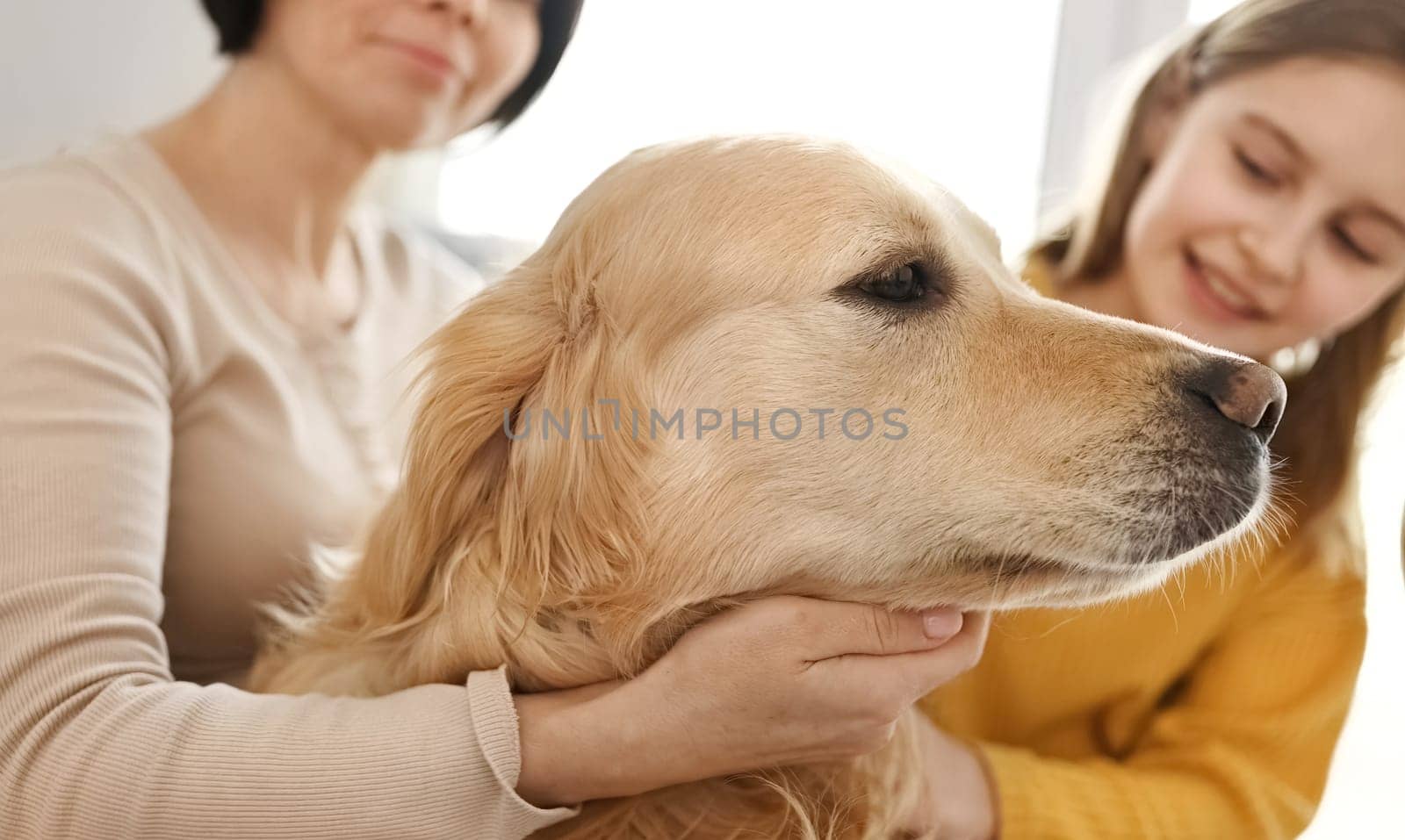Mother and preteen girl daughter petting golden retriever dog. Pretty teen kid and young woman with purebred doggy pet and plaid indoors