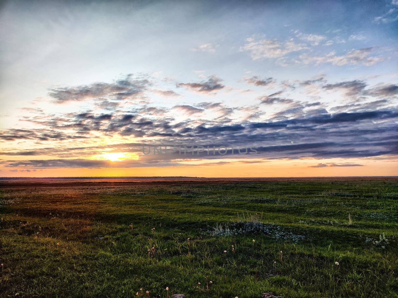 Sunset with the sun and a dramatic cloud over the steppe with green grass. Beautiful nature landscape